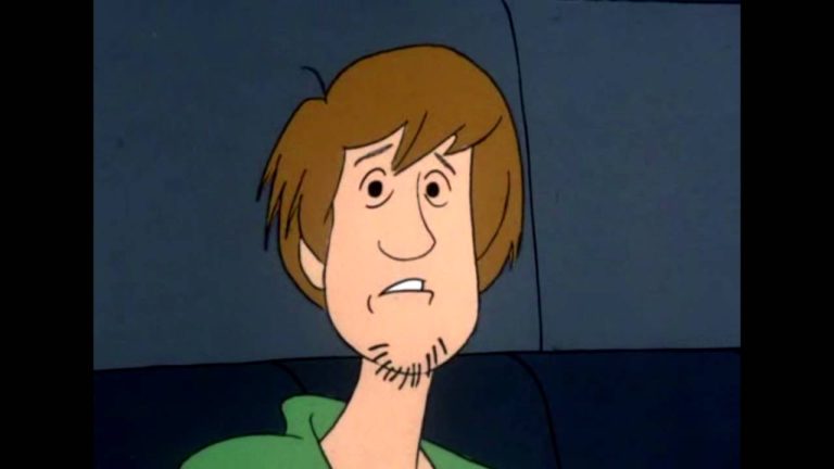 Shaggy Costume Guide